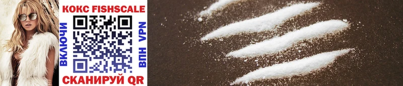 darknet формула  где купить   Заводоуковск  COCAIN FishScale 