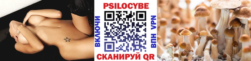 Псилоцибиновые грибы мухоморы  hydra ONION  Заводоуковск 