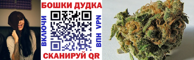 купить закладку  Заводоуковск  Каннабис индика 